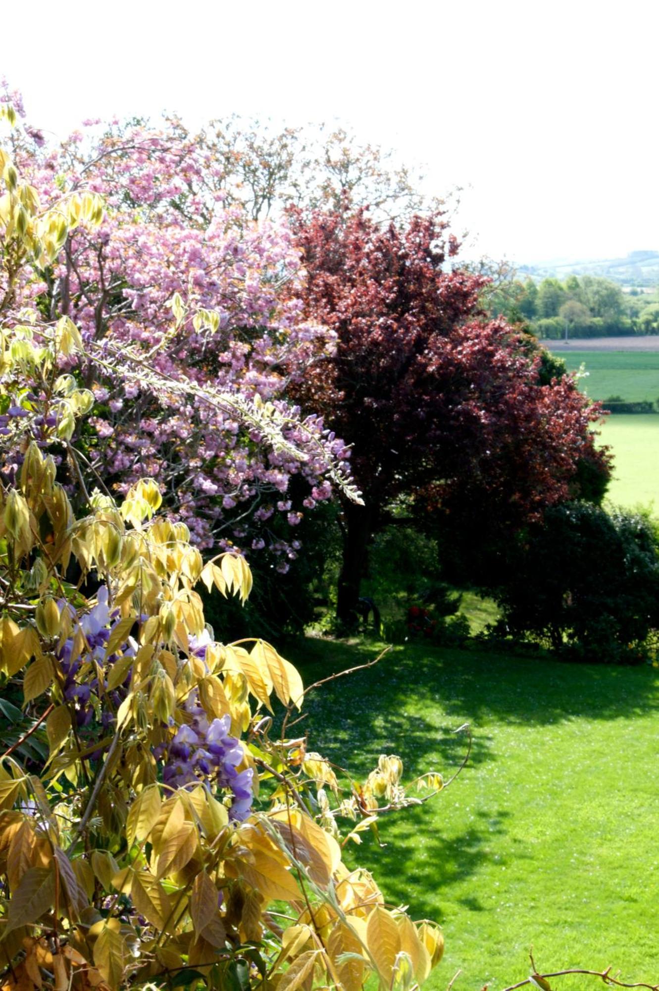 Charming Georgian Country House Axbridge Luaran gambar